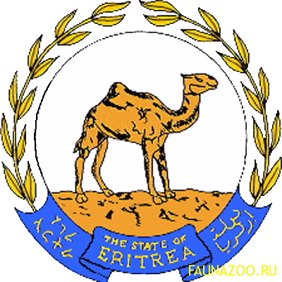 Животные Эритреи