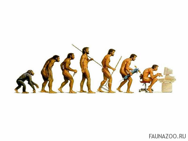 эволюция