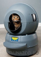 Автоматический кошачий туалет – биотуалет нового поколения