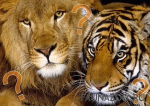 Кто сильнее тигр или лев