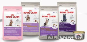 Обзор корма для котов от торговой марки Royal Canin