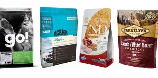 Холистики для кошек - натуральный и сбалансированный рацион