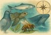 Животные-навигаторы: как они находят дорогу домой