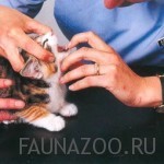 Глаза и рот