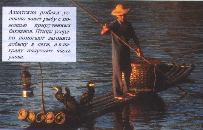 Азиатские рыбаки Азиатские рыбаки