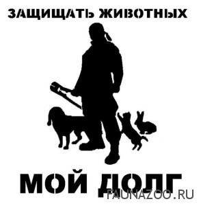 В помощь любителям животных