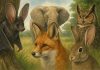 Как животные используют свои уши для охоты и защиты