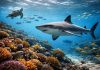 Роль акул в морских экосистемах